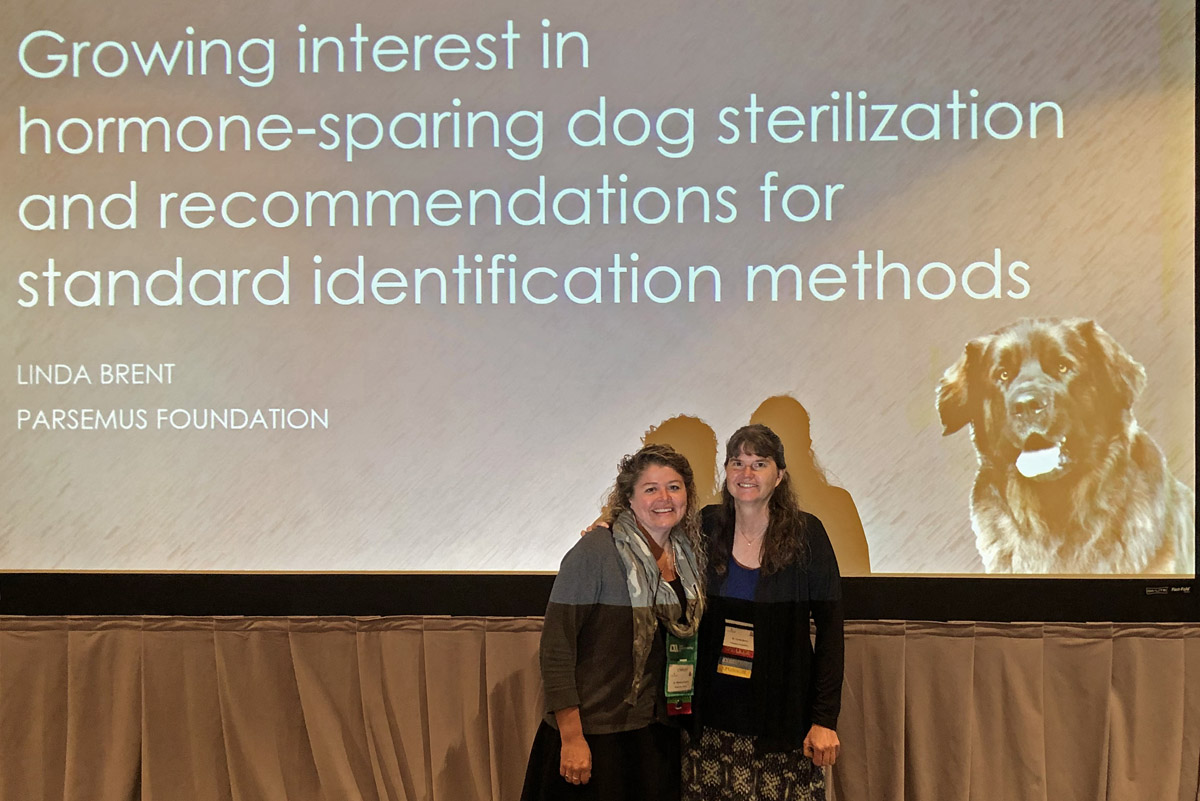 Veterinary conference focuses on pet neuter and health