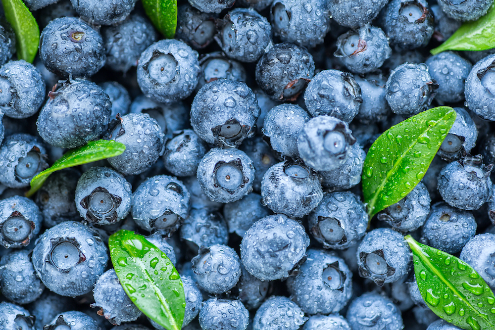 Blueberries may help prevent dementia