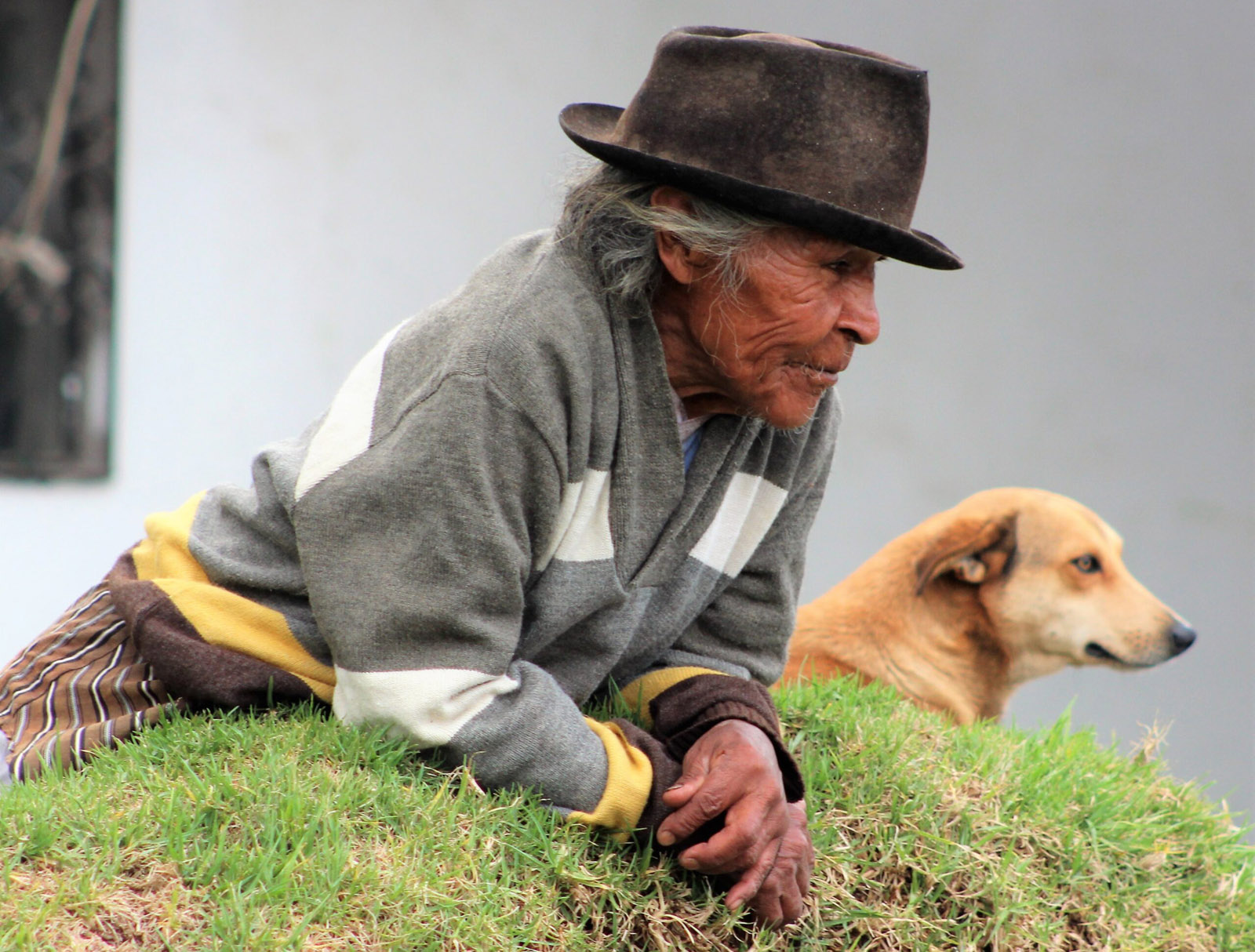 Colorado veterinarians dedicated to pets and people in Ecuador