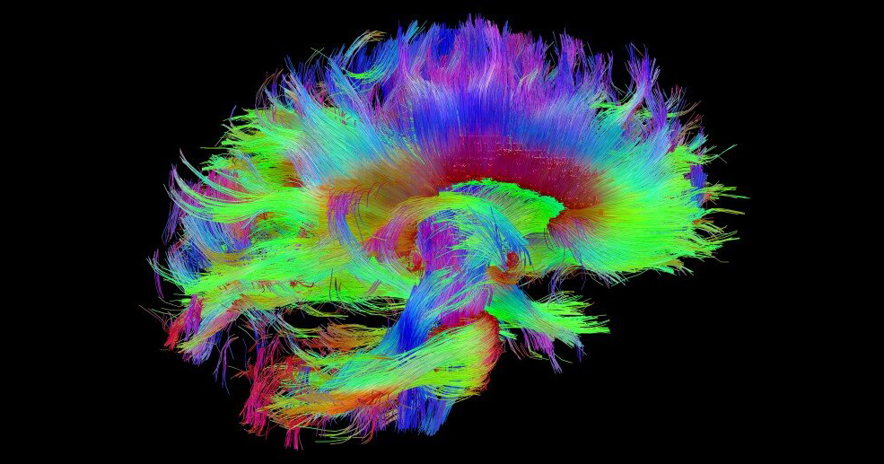 How your smartphone could help detect dementia
